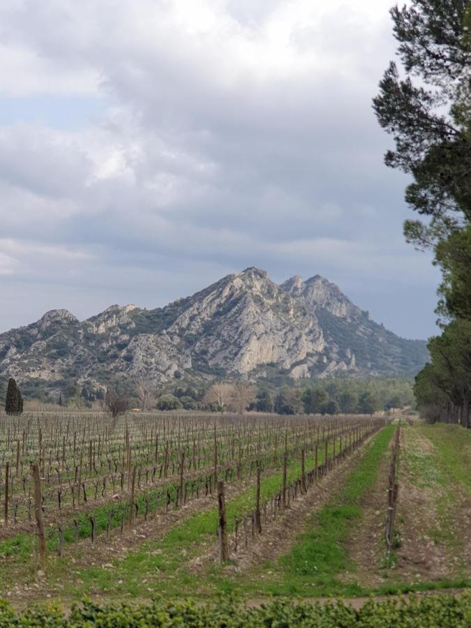 Appartamento Les Estrelles Saint-Rémy-de-Provence Esterno foto